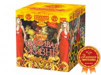 Красивая жизнь Фейерверк купить в Липках | lipki.salutsklad.ru