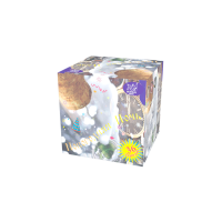 Новогодняя ночь Салют купить в Липках | lipki.salutsklad.ru