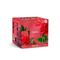 Пионы Салют купить в Липках | lipki.salutsklad.ru