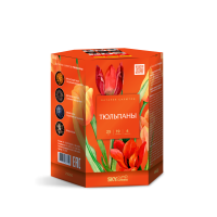 Тюльпаны Салют купить в Липках | lipki.salutsklad.ru