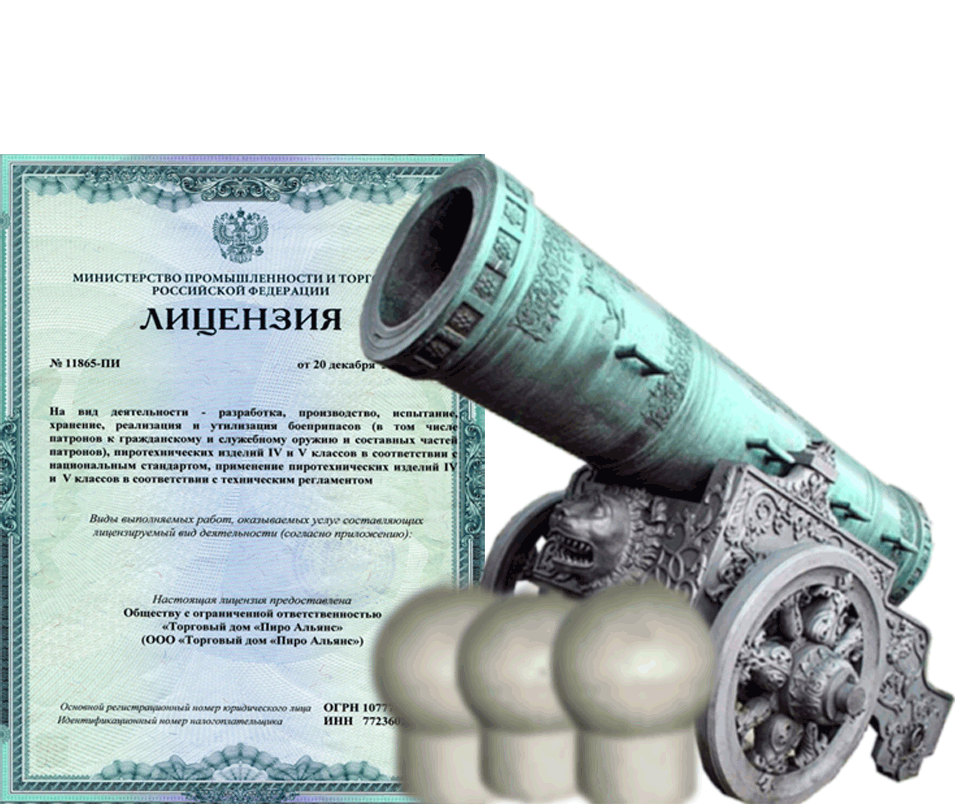 Заказать фейерверк на Новый Год - салют в Липках