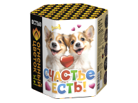 Счастье есть! Салют купить в Липках | lipki.salutsklad.ru