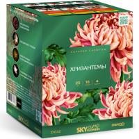 Хризантемы Фейерверк купить в Липках | lipki.salutsklad.ru