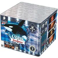 Косатка Фейерверк купить в Липках | lipki.salutsklad.ru