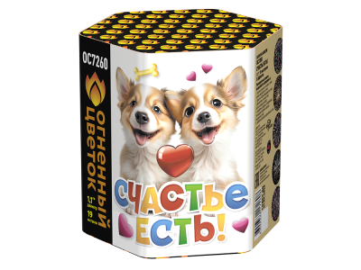 Счастье есть! Салют купить в Липках | lipki.salutsklad.ru